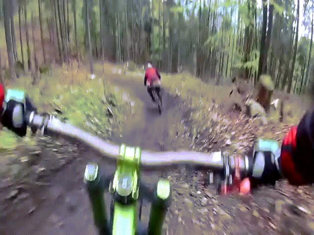Video: Đang đạp xe xuống dốc, vận động viên hết hồn cảnh gấu lớn bất ngờ ”vồ” ra đường