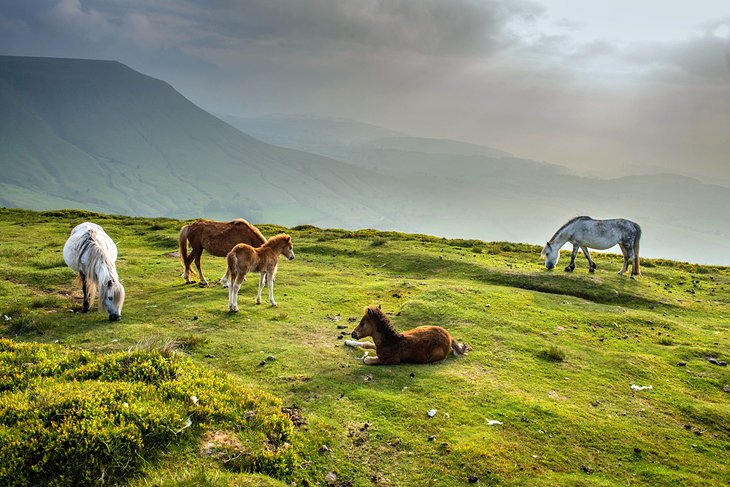 Những địa điểm cực hấp dẫn ở xứ Wales nên đến thăm một lần trong đời - 2