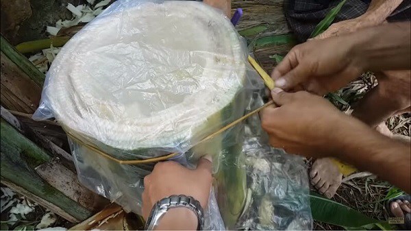 Dùng nước trong thân cây chuối cần phải thật cẩn thận, tránh nhiễm tạp chất, côn trùng. Ảnh minh họa.