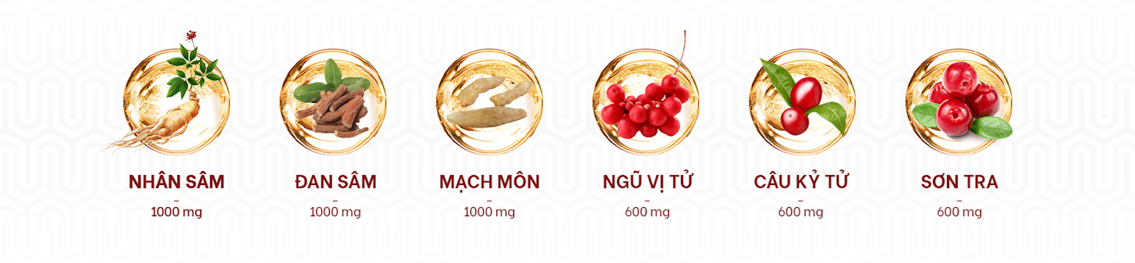 Các thành phần thảo dược trong công thức Sinh mạch tán của nước tăng lực Hồng Mã
