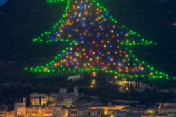Du lịch - Cây thông Noel lớn nhất thế giới sắp được thắp sáng