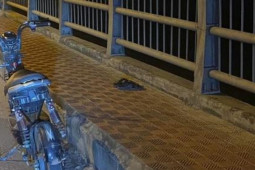 Pháp luật - Bỏ lại xe máy điện, đôi dép, nữ sinh mất tích bí ẩn