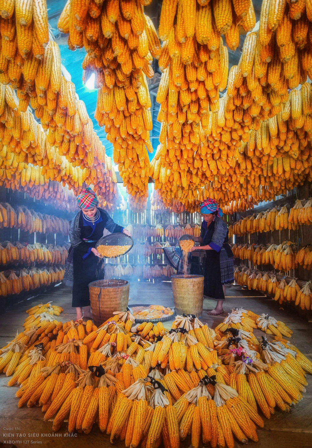 Những bài dự thi ấn tượng tại cuộc thi ảnh 'Kiến tạo siêu khoảnh khắc' - 3