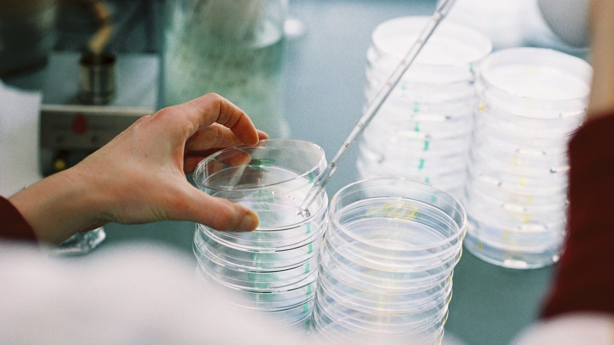 Toàn bộ các virus cổ đại mà nhóm nghiên cứu đem thực nghiệm đều có khả năng lây nhiễm tế bào.