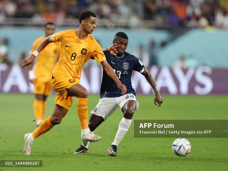 Trực tiếp bóng đá Hà Lan - Ecuador: Nỗ lực bất thành (World Cup) (Hết giờ) - 11