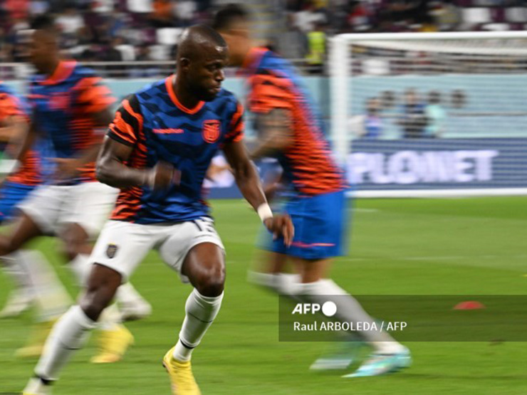 Trực tiếp bóng đá Hà Lan - Ecuador: Nỗ lực bất thành (World Cup) (Hết giờ) - 34