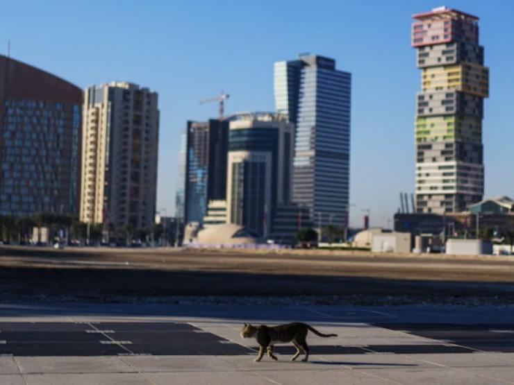 Cảnh tượng khác lạ ở thành phố Qatar xây dựng riêng phục vụ chung kết World Cup