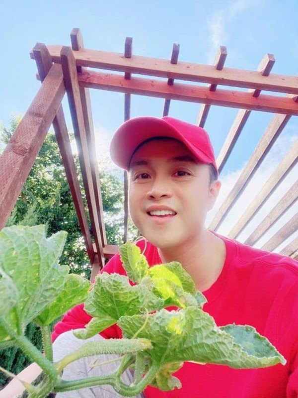 Nam ca sĩ đi thu hoạch trái cây. Ảnh: NSCC