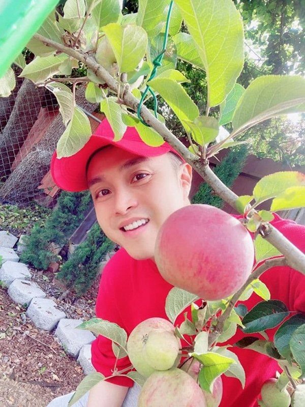 Có cả cây ăn quả.