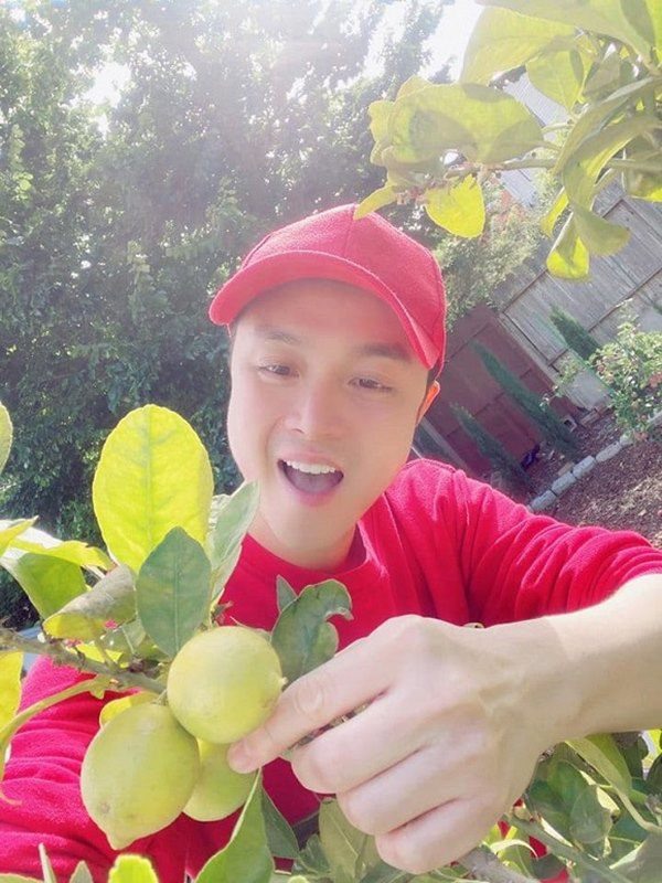 Ngay trong vườn nhà, Nhật Tinh Anh cũng cho
trồng nhiều loại cây.