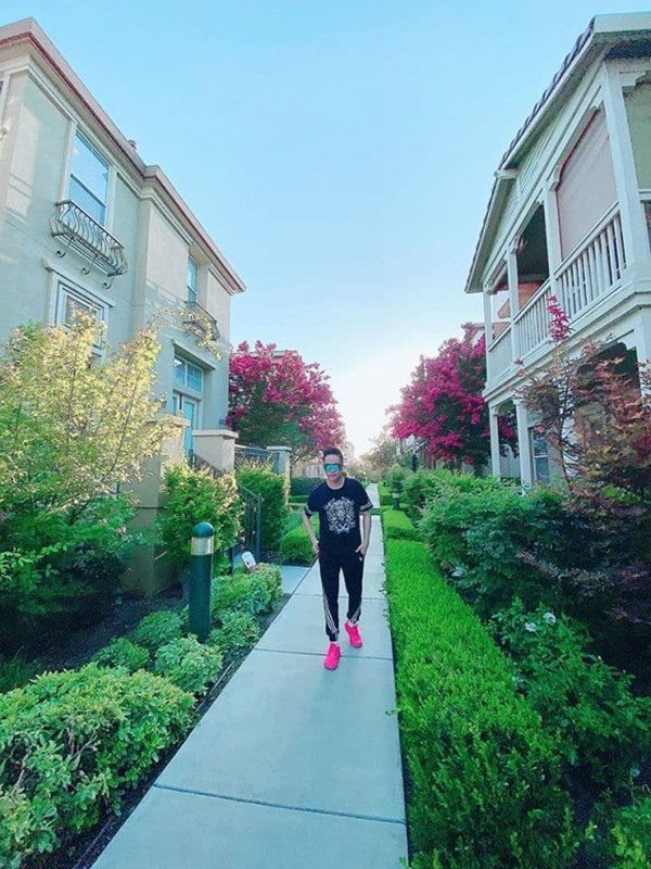 Không gian bên ngoài biệt thự được bao phủ bởi
nhiều cây xanh.