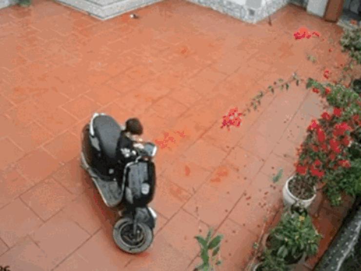 Thế giới xe - Clip: Hú vía cảnh em bé tự mở khóa lái xe ga trong sân như xe đồ chơi