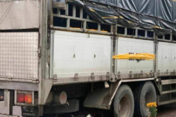 Tin tức trong ngày - Hé lộ nguyên nhân vụ tai nạn thảm khốc khiến 3 mẹ con ở Phú Yên tử vong