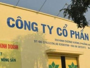 Kinh doanh - Doanh nghiệp liên quan ông Trịnh Văn Quyết bị xử phạt do ém thông tin tài chính