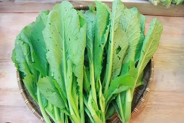 Rau cải xanh cho mái tóc chắc khỏe