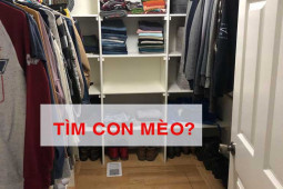 Bạn trẻ - Cuộc sống - Tổng hợp câu đố giúp bộ não làm việc hiệu quả hơn