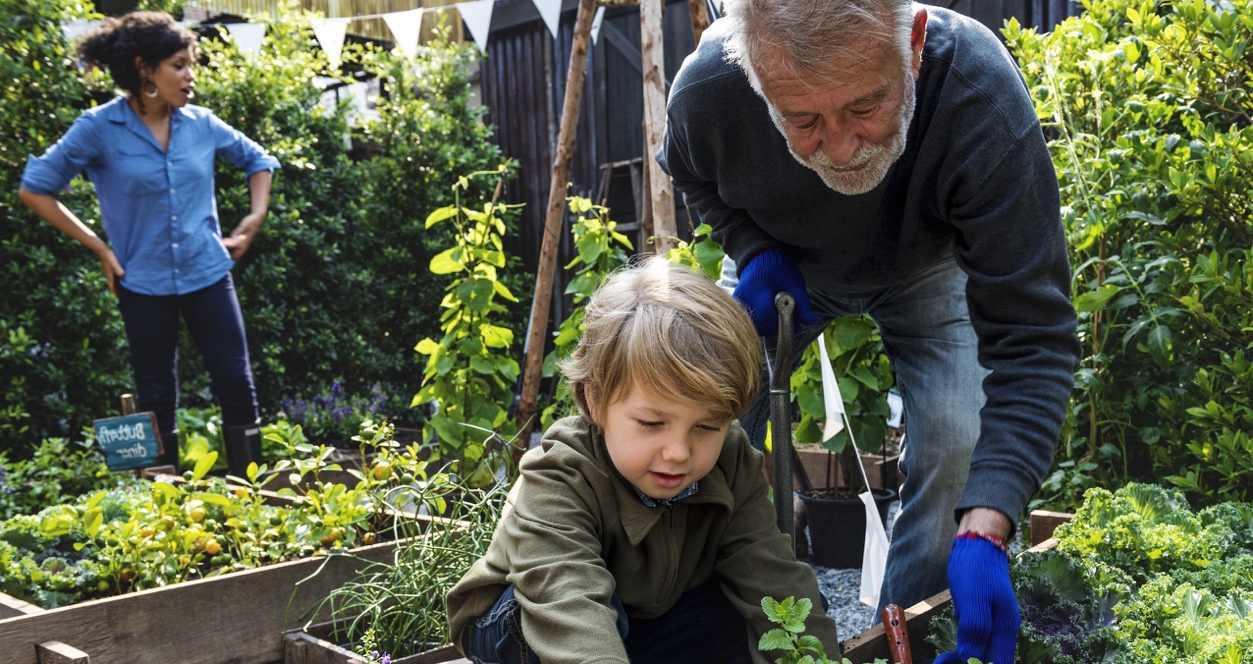Xơ phổi vô căn thường khởi phát ở bệnh nhân trong độ tuổi từ 50 - 70 với tỉ lệ mắc ở nam giới cao hơn nữ giới
