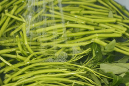 Ẩm thực - Chuyện ít biết về hai cô gái đẹp và loại rau muống tiến vua của người Hà Nội ai ăn cũng thích