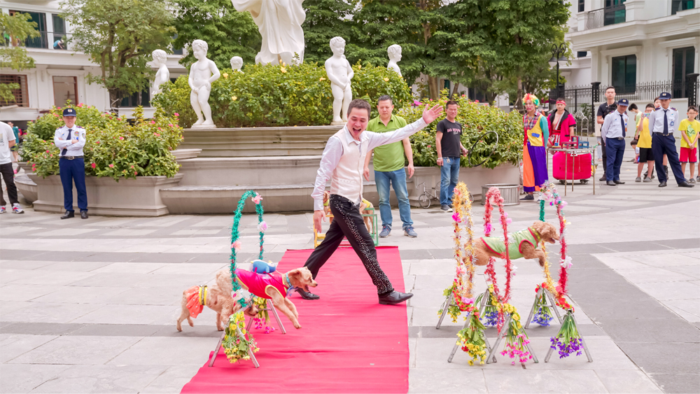 Chương trình xiếc thú vui nhộn được diễn ra náo nhiệt tại Sunshine City