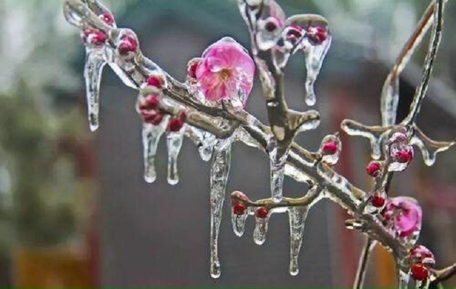 Miền Bắc chuẩn bị hứng đợt không khí lạnh mạnh nhất từ đầu mùa. Ảnh minh họa