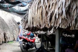 Pháp luật - Nhân viên quán cà phê bán dâm cho khách rồi chia tiền cho quản lý