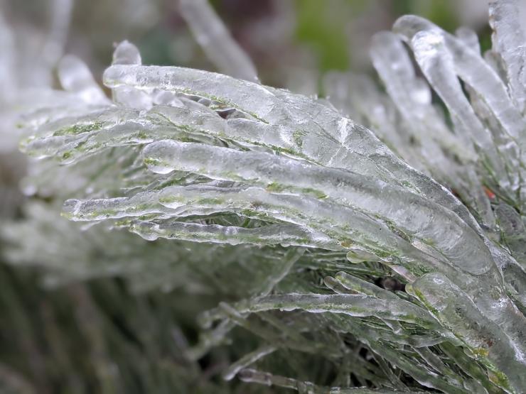 Tin tức trong ngày - Thời tiết ngày 30/11: Miền Bắc giảm nhiệt sốc, trời chuyển mưa rét