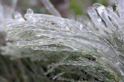 Tin tức trong ngày - Thời tiết ngày 30/11: Miền Bắc giảm nhiệt sốc, trời chuyển mưa rét