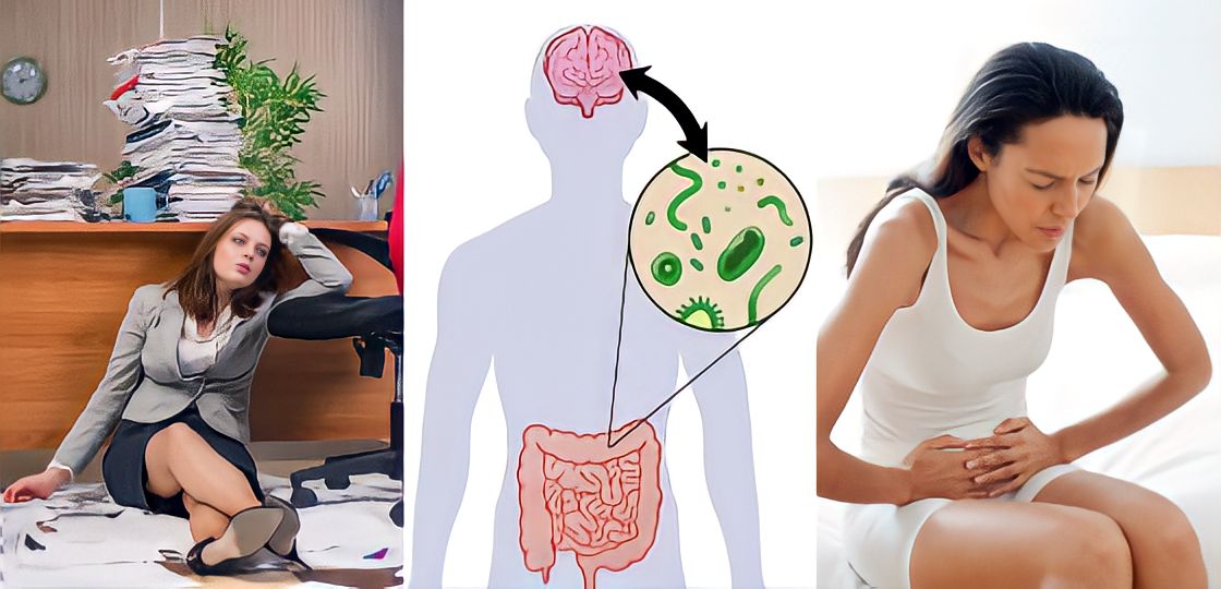 Mối quan hệ giữa não bộ và đường ruột