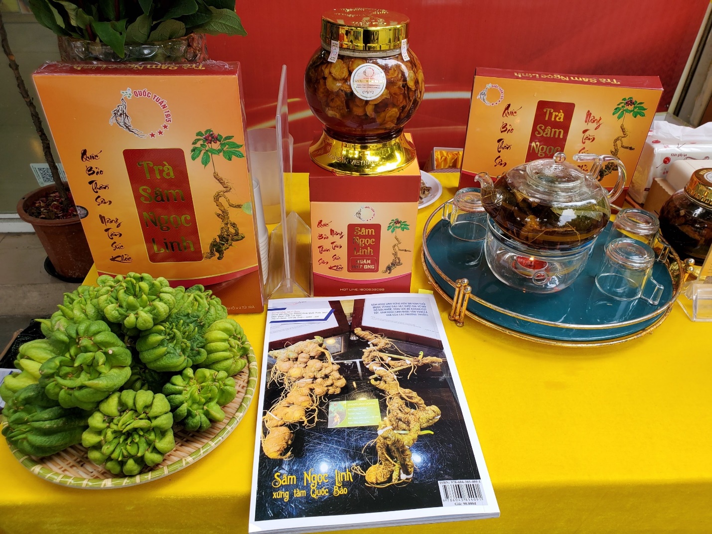 Trải nghiệm sâm Ngọc Linh miễn phí tại Hà Nội - 4