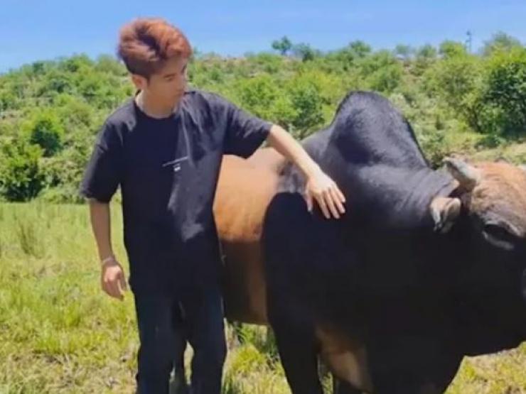 Kinh doanh - Bỏ thành phố về quê sống, anh chàng chăn bò kiếm gần 700 triệu/năm.