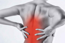 Media - 4 thói quen khiến thận phải "kêu cứu"