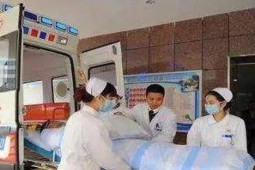 Sức khỏe đời sống - Hai vợ chồng cùng uống "nữ hoàng thảo mộc", sức khỏe vợ cải thiện còn chồng nhập viện cấp cứu