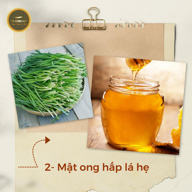 Top 4 thảo dược "vàng" hạ gục đờm, ho, khó thở dai dẳng mùa lạnh - 3