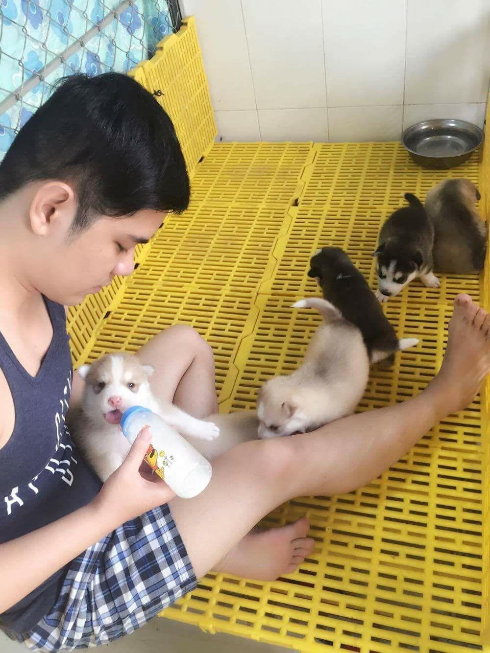 Gặp gỡ chàng trai khởi nghiệp thành công từ niềm đam mê nuôi thú cưng - 2