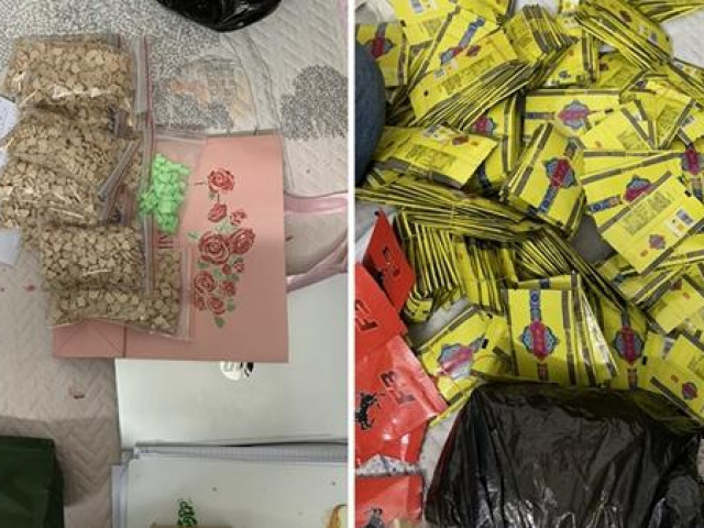 Pháp luật - Chặt đứt đường dây buôn hàng tấn ma túy của "mẹ già" ma túy Oanh "Hà"