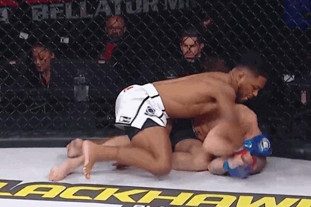 Jesse Hannam chỉ biết ôm đầu trước loạt đòn của Archie Colgan.