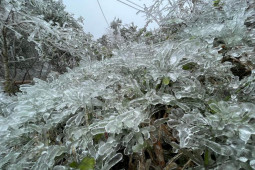 Tin tức trong ngày - Hôm nay (2/12), miền Bắc rét đậm, Mẫu Sơn thấp nhất 1,6 độ C