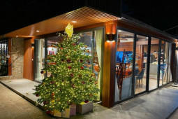 Thị trường - Tiêu dùng - Cây thông tươi đi máy bay về Việt Nam, nhà giàu chi hàng trăm triệu đồng mua về ngắm