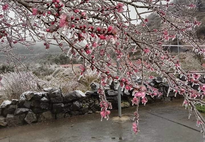 Không khí lạnh gia tăng cường độ và tần suất trong tháng 12/2022. Ảnh minh họa