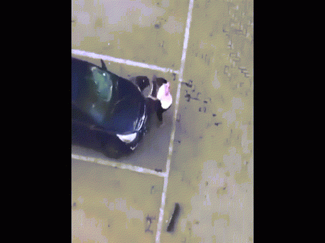 Màn đánh ghen tốn kém của vợ - 1