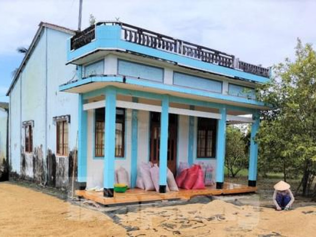 Thị trường - Tiêu dùng - Sắp ‘giải cứu’ xong hàng nghìn tấn lúa Việt Nam ngon nhất thế giới bị ế