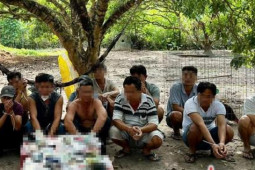 Pháp luật - Bắt điểm đá gà qua mạng internet trong vườn nhãn