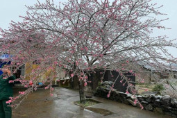 Tin tức trong ngày - Không khí lạnh tăng cường, miền Bắc tiếp tục có nơi rét hại dưới 5 độ C