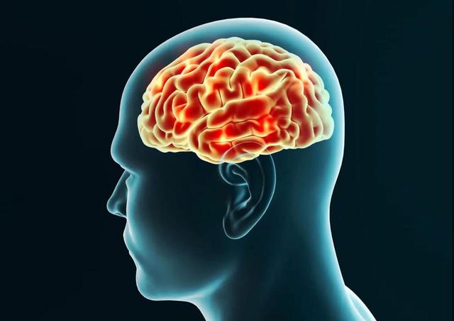 Xem phim "người lớn" thường xuyên có thể gây teo não - 4