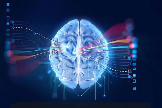 Xem phim "người lớn" thường xuyên có thể gây teo não - 5