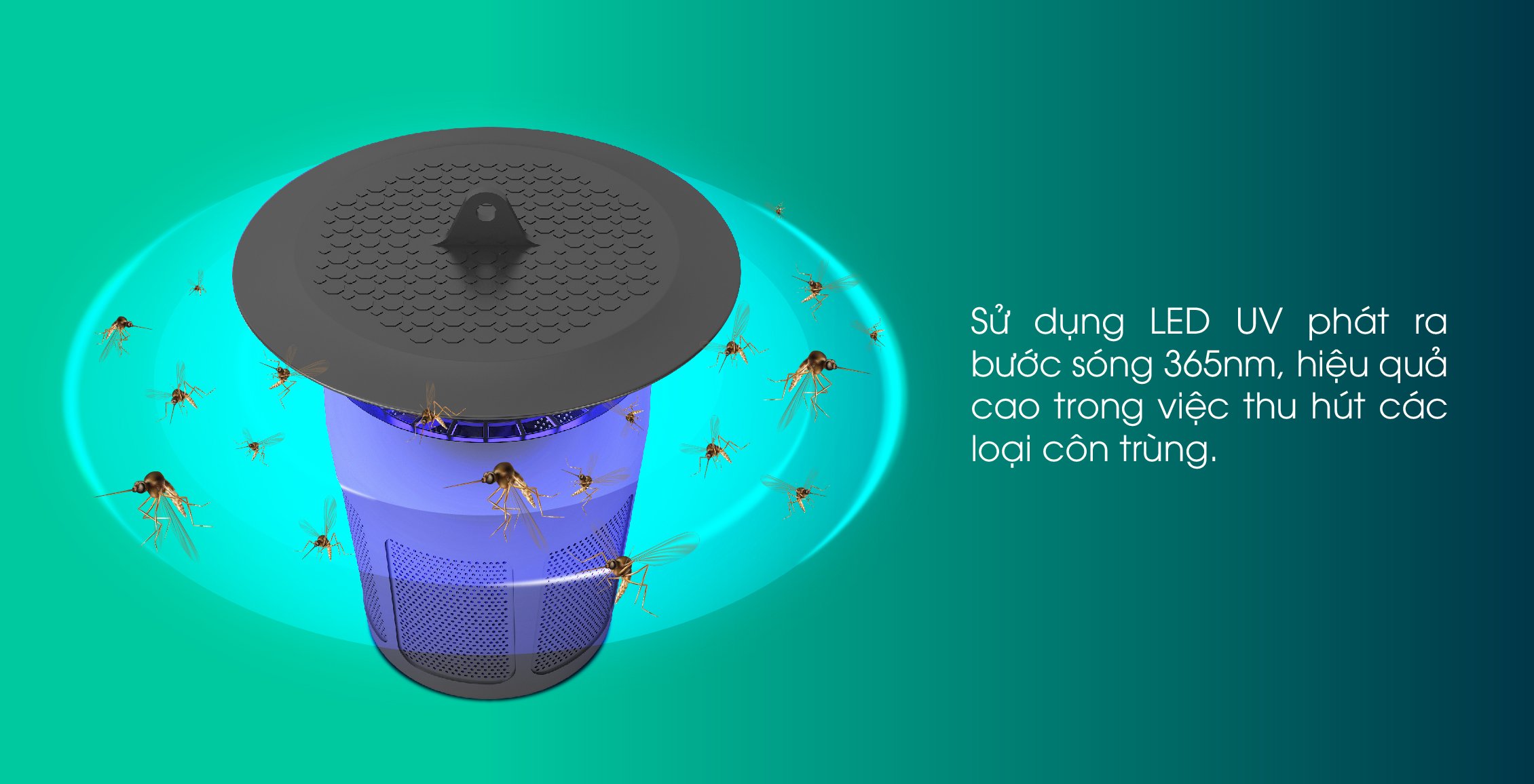 Sử dụng đèn bắt muỗi có an toàn, hiệu quả không - 3