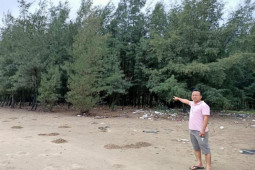 Tin tức trong ngày - Tá hỏa phát hiện 4,2 ha đất rừng do gia đình trồng nhưng người khác lại đứng tên