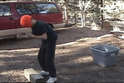 Tranh vui - Nhiều người đỡ không nổi với những màn troll "thốn đến tận rốn"