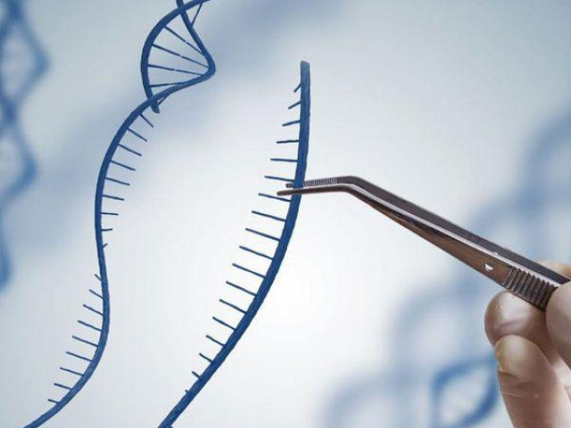 Phi thường - kỳ quặc - Bố đưa con gái đi xét nghiệm ADN vì nghi ngờ vợ, bác sĩ vừa nhìn đã bật cười khúc khích