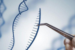 Phi thường - kỳ quặc - Bố đưa con gái đi xét nghiệm ADN vì nghi ngờ vợ, bác sĩ vừa nhìn đã bật cười khúc khích